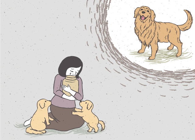 펫로스, 끝나지 않는 그리움